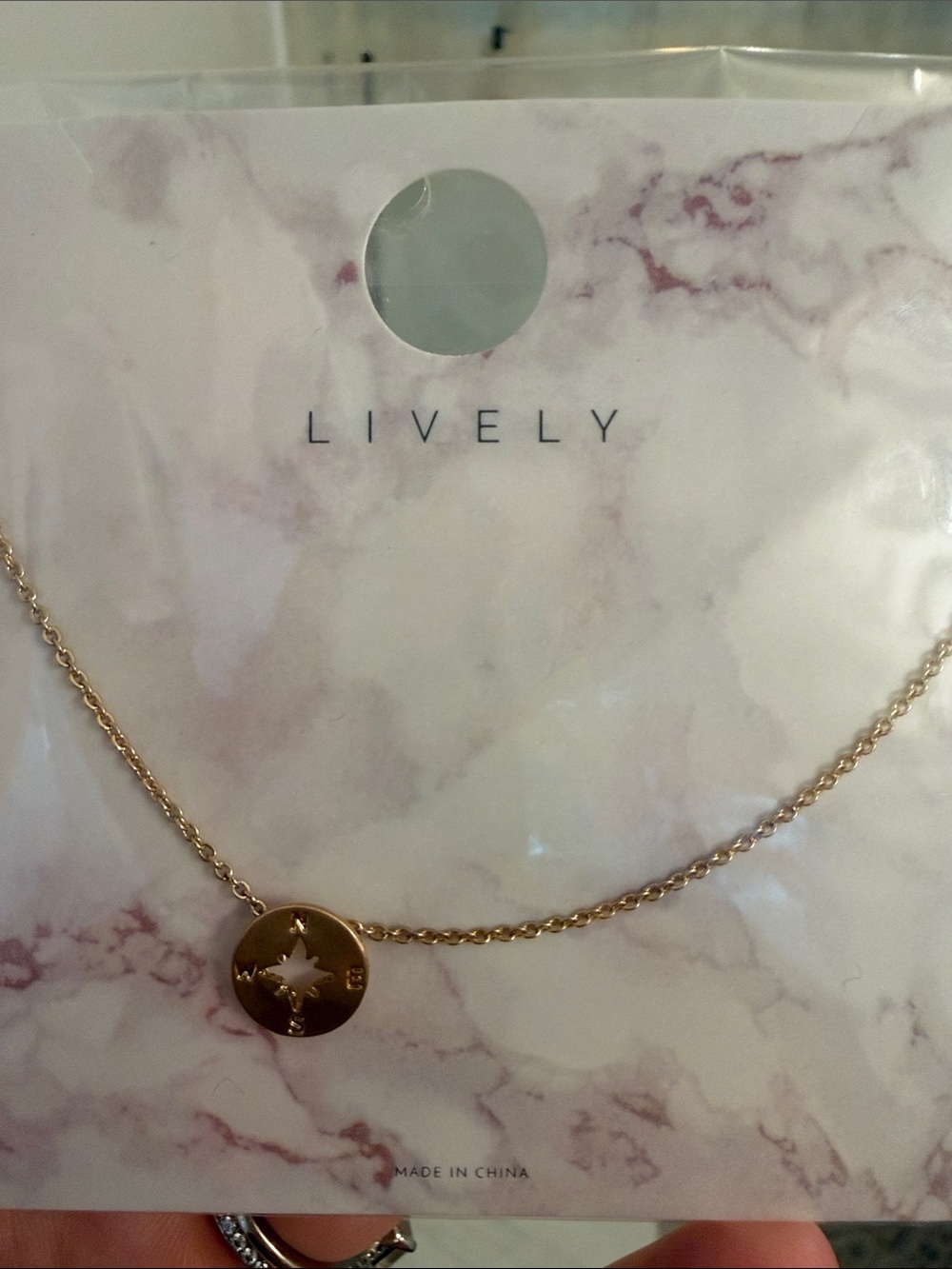Lively Gold Compass Disc Necklace